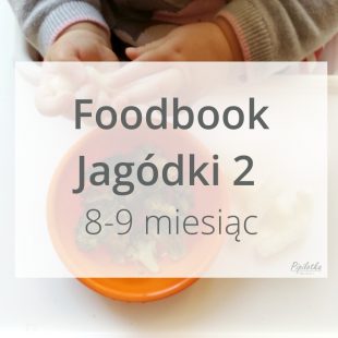 Foodbook Jagódki 2 – 8-9miesiąc