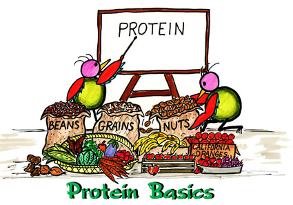 protein2
